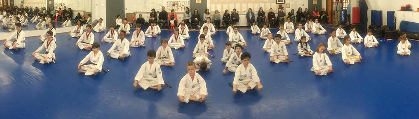 Hansoo Taekwondo school